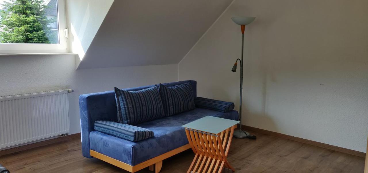 Ferienhaus Schulte - Villa Jupp Und Apartment Liesl Olsberg Kültér fotó